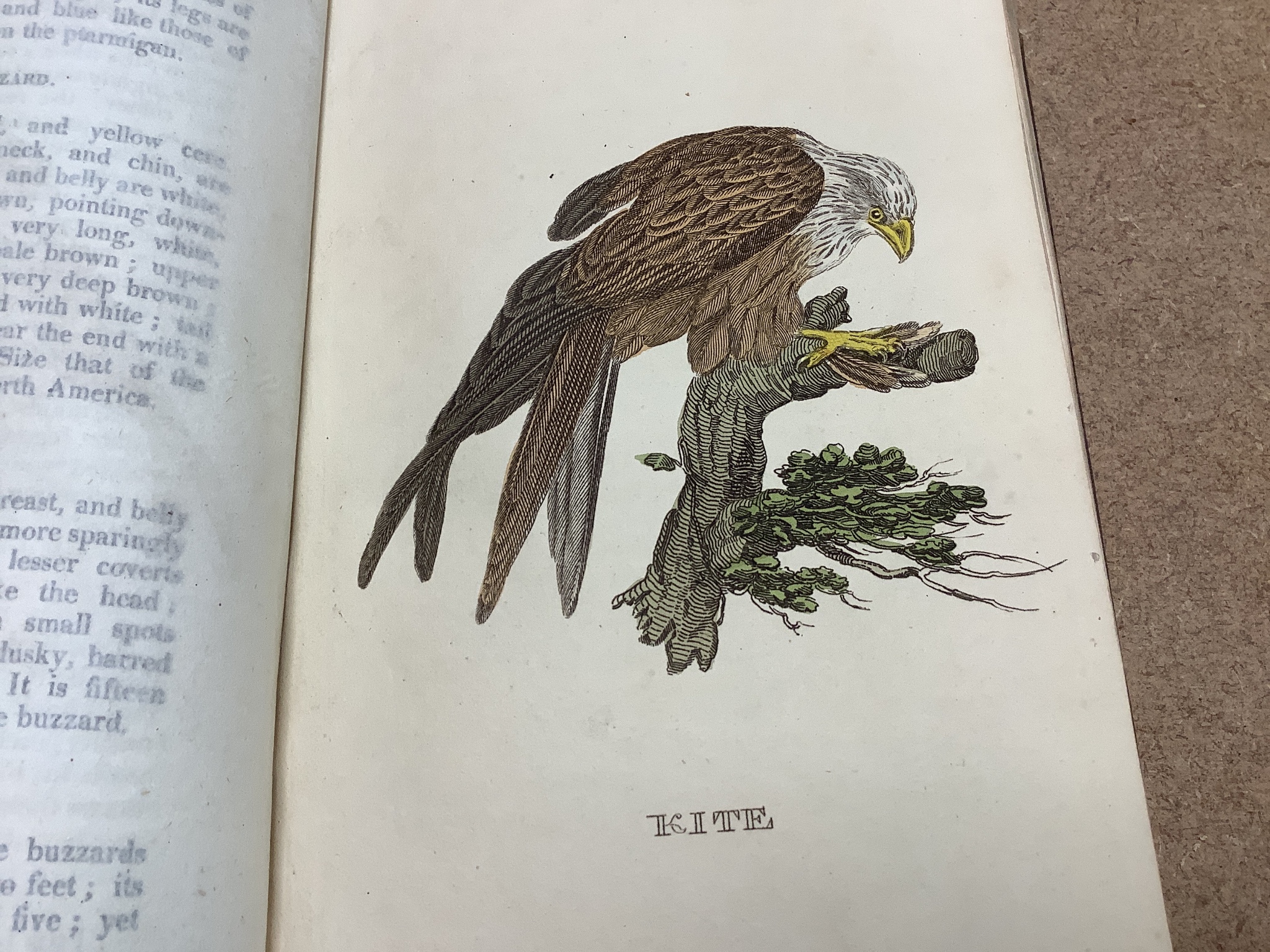 Natural- The Natural History of Birds, from the works of the Best Authors, 2 vols, 8vo, calf, joints strengthened, with 148 hand-coloured plates, Brightly and Childs, and T. Kinnersley, Bungay, 1815